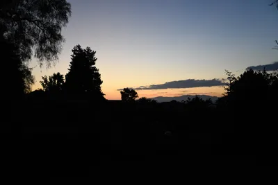 DSC_4156 (Large).JPG